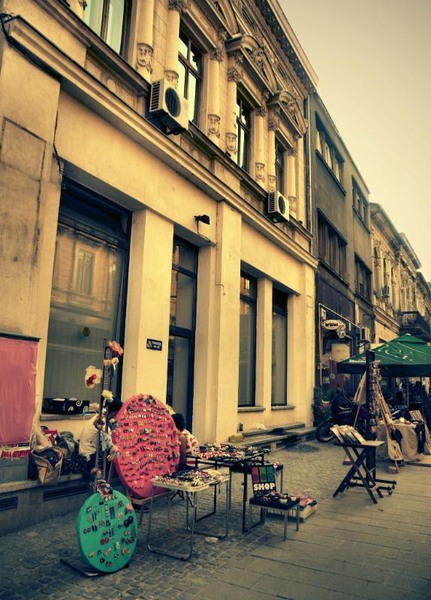 franceza_dianacretu_19