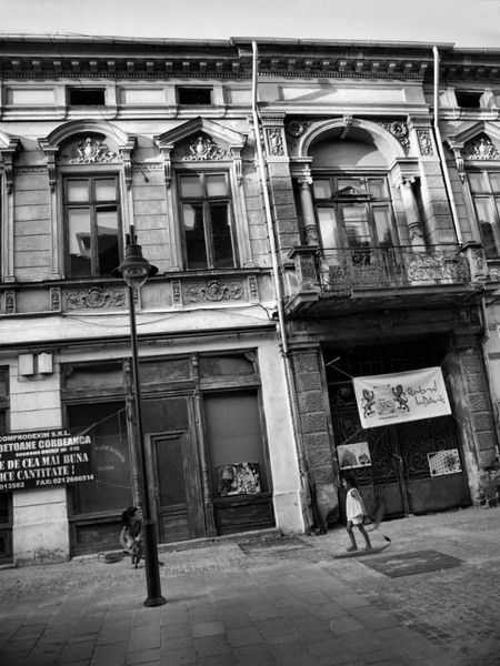 franceza_dianacretu_25