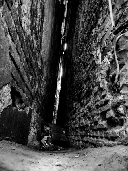 franceza_dianacretu_28