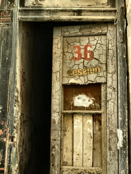 franceza_dianacretu_30