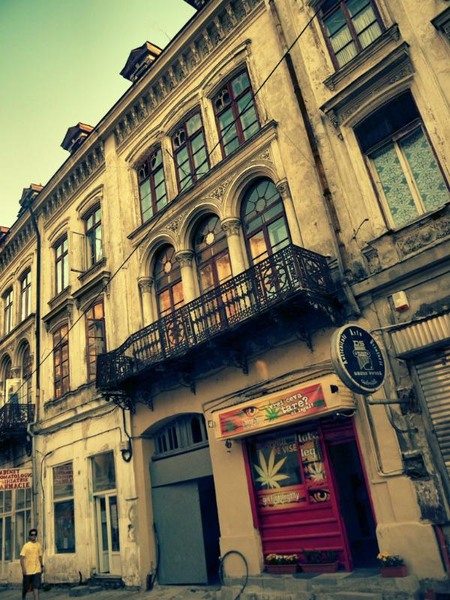 franceza_dianacretu_35