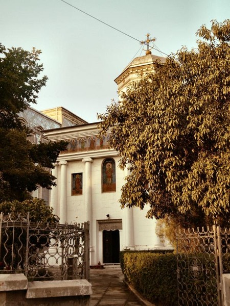 franceza_dianacretu_36