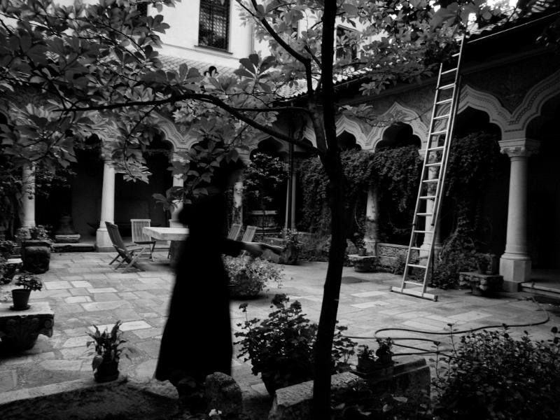 postei_dianacretu_06