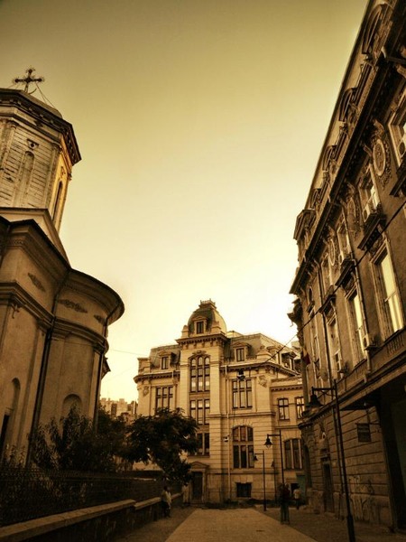 sfdumitru_dianacretu_04