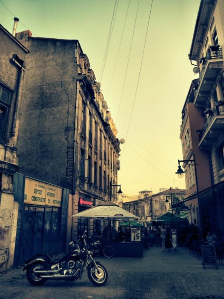 sfdumitru_dianacretu_10