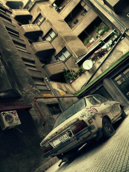 smardan_dianacretu_03