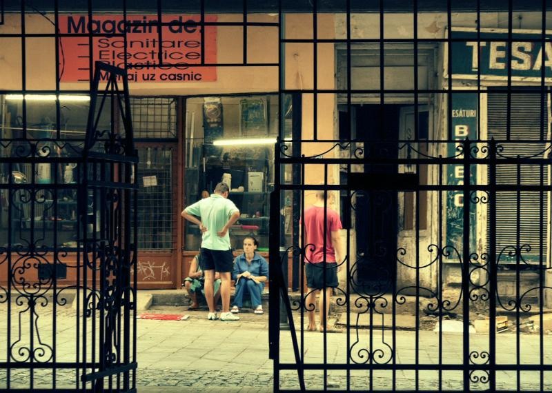 smardan_dianacretu_07