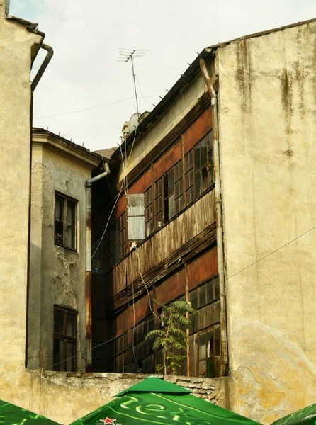 smardan_dianacretu_09