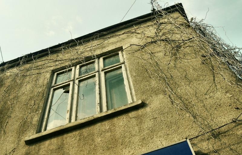 smardan_dianacretu_10