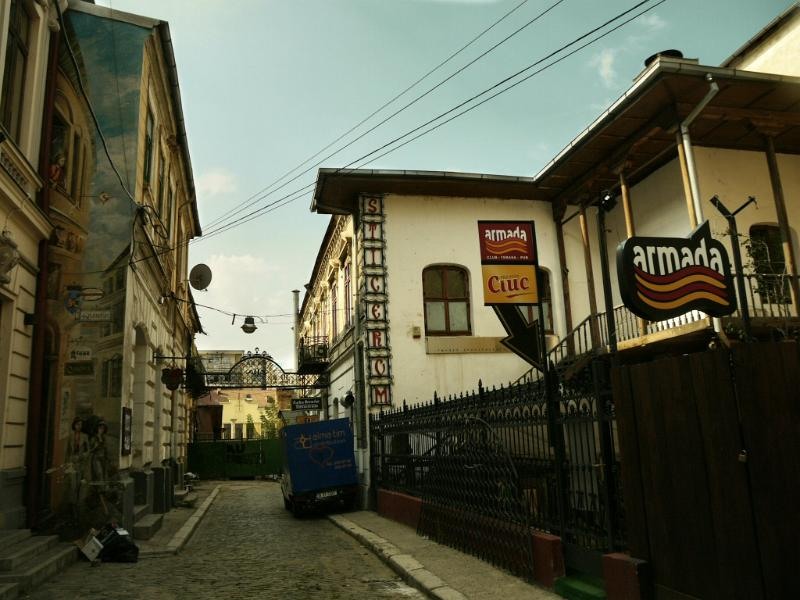 soarelui_dianacretu_03