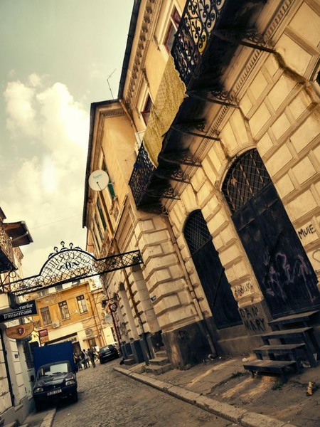 soarelui_dianacretu_04