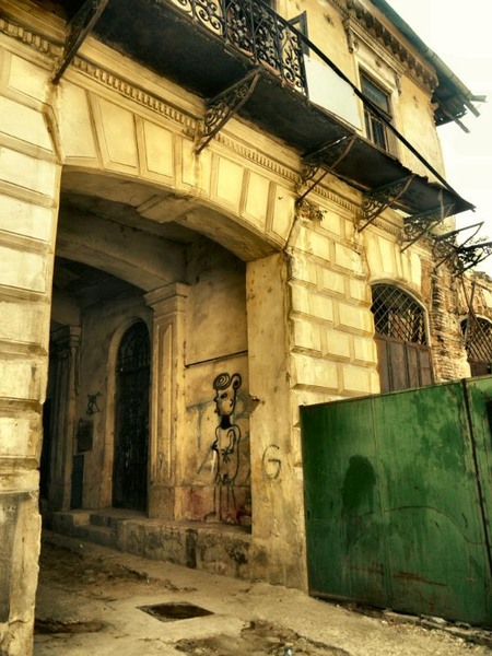 soarelui_dianacretu_05