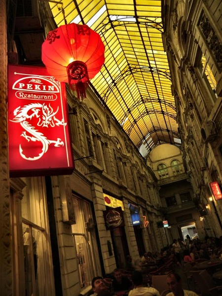 vilacrosse_dianacretu_05