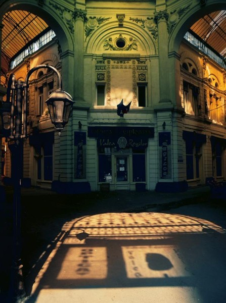 vilacrosse_dianacretu_07