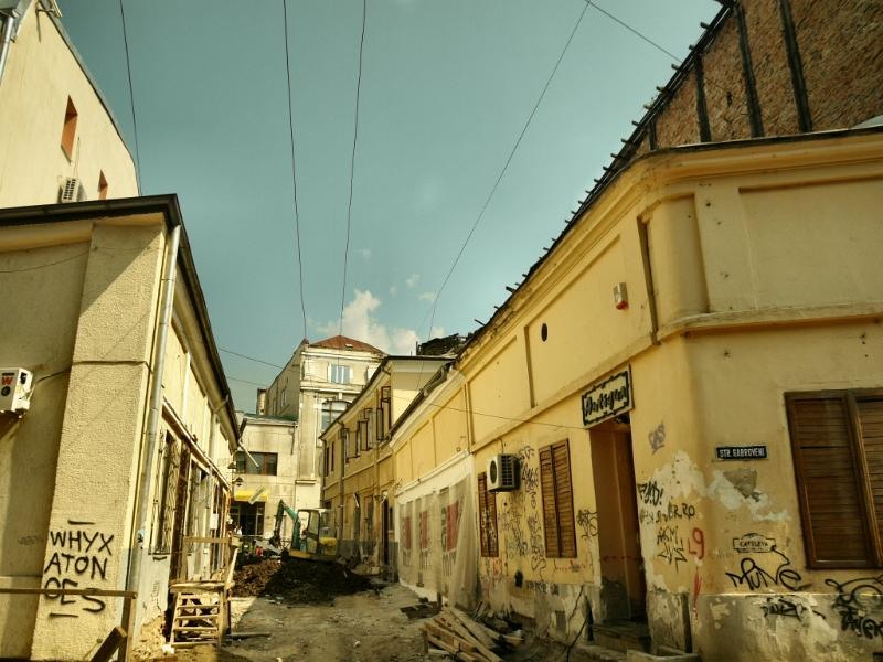 zarafi_dianacretu_01