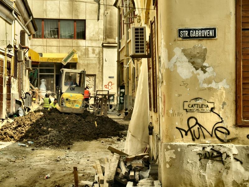 zarafi_dianacretu_02