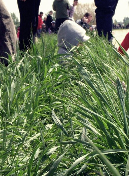 223467_219689494723471_100000472650203_891231_7375064_n