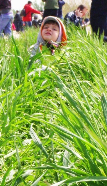 224002_219689544723466_100000472650203_891233_5663651_n