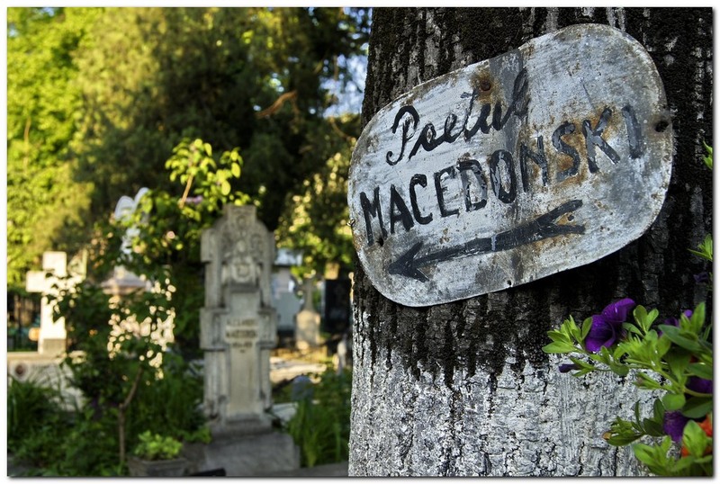 noaptea-prinmuzee_005