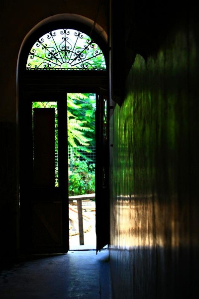 gabroveni_rosu-alexandru_25