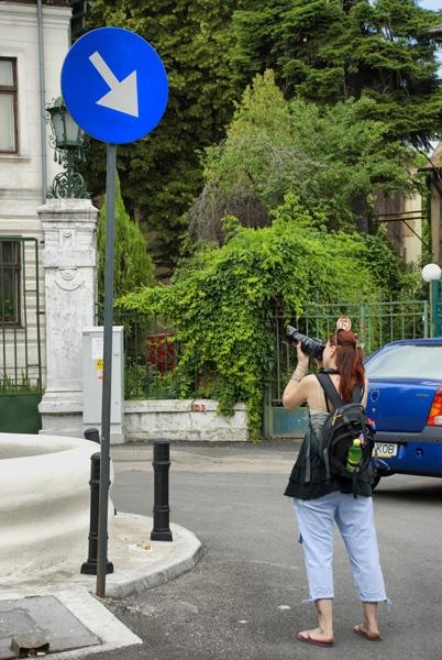 marcella-dragan-de-ion-pirvu