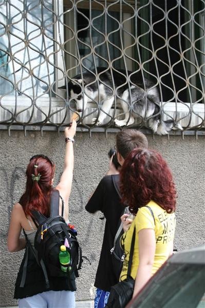 portret-de-alexandra-p-39