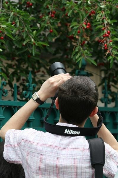 portret-de-alexandra-p-41