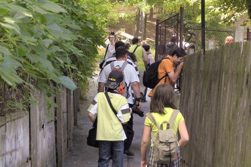 portret-de-dinu-l-10