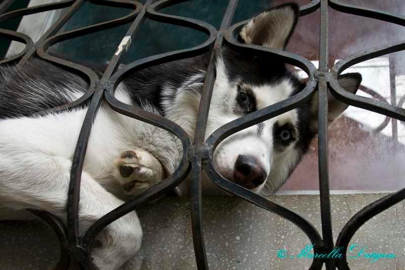 200900606_marcella_03