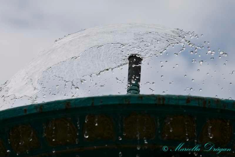 200900606_marcella_05