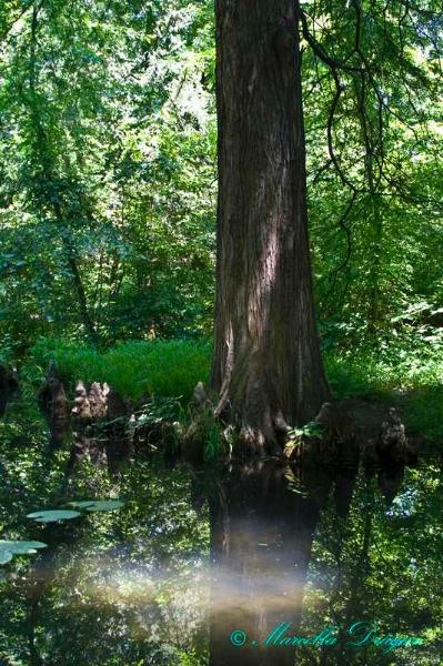 200900606_marcella_12