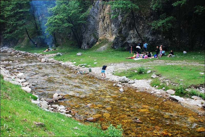 12-ma-un-gratar-pe-raul-galben