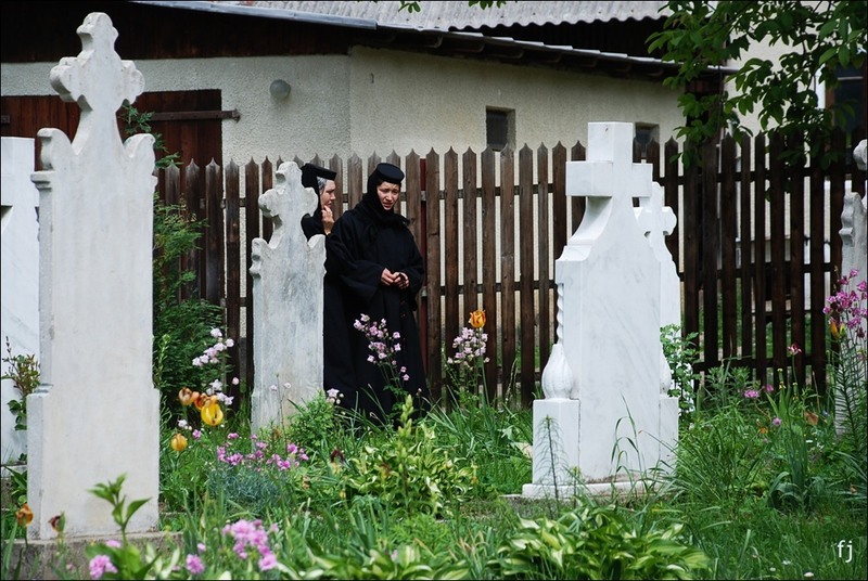 5-in-memoria-maicutelor