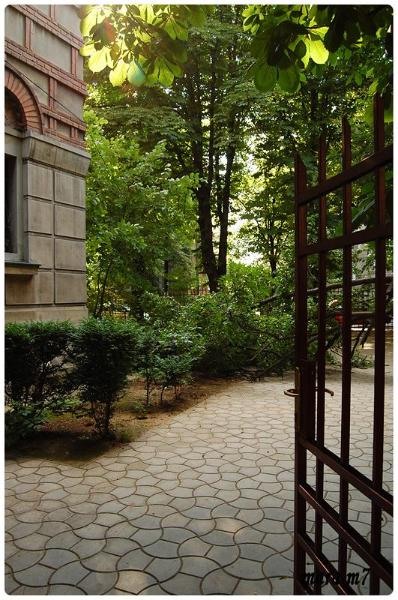 20090606_gmihaila_02