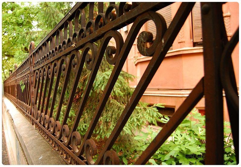 20090606_gmihaila_08