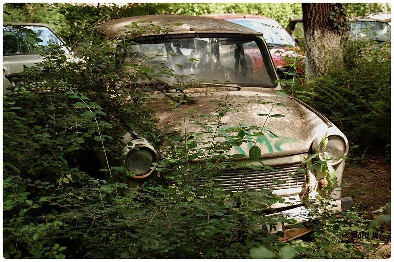 20090606_gmihaila_13