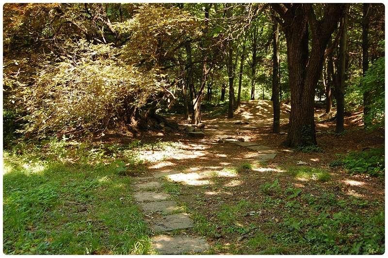 20090606_gmihaila_20