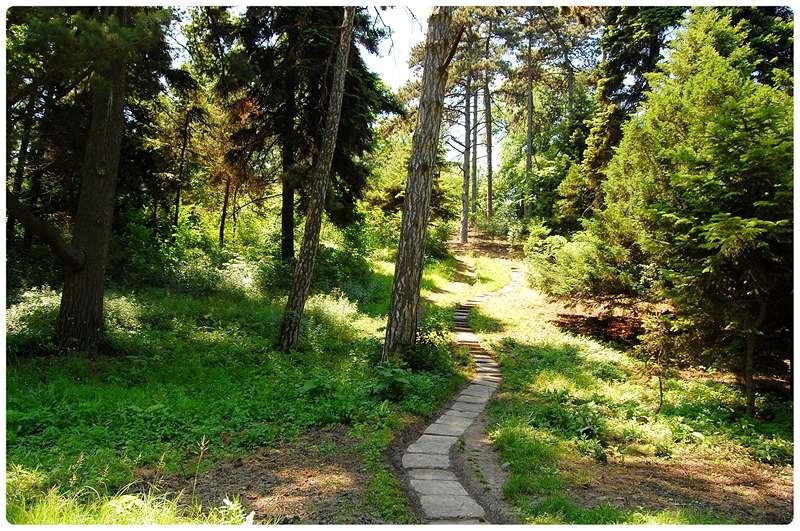 20090606_gmihaila_25