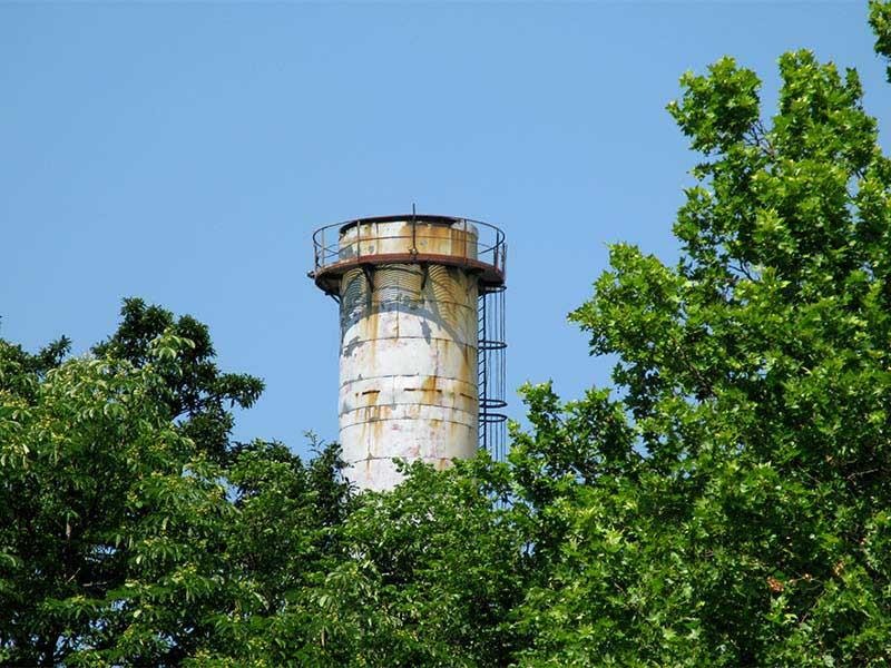 20090606_cmunteanu_12