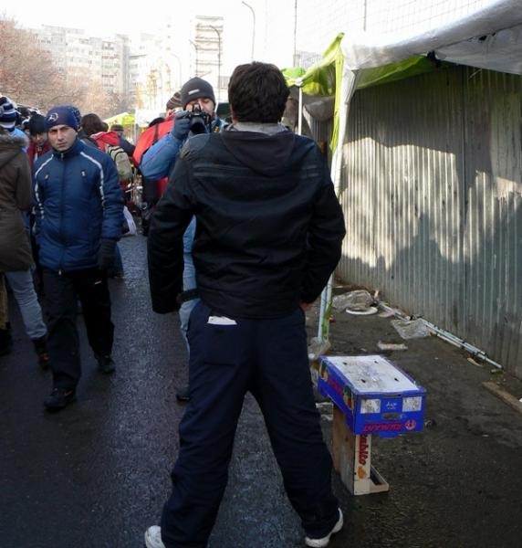 cristin-by-cristinad