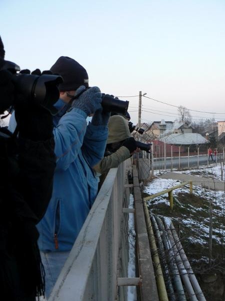 grup-by-cristinad-05