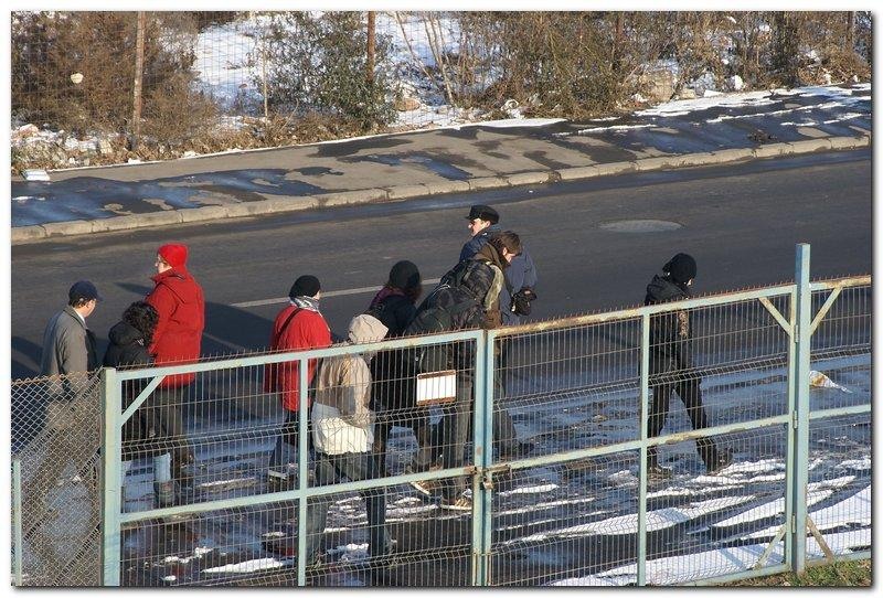 portret-de-alex-ds-13