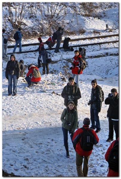 portret-de-alex-ds-15