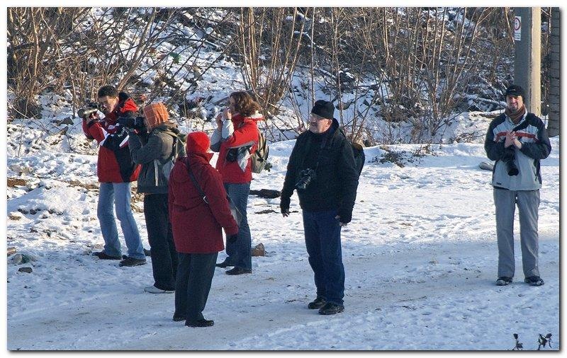 portret-de-alex-ds-28