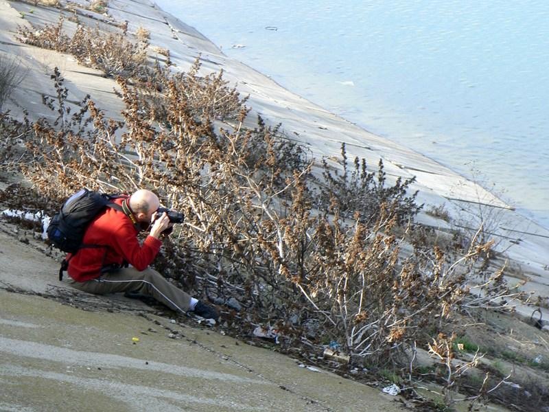 cristin-de-cristinad2