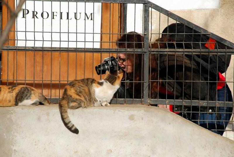 portret-01-de-cristin-dumitru