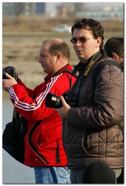 portret-de-alexds-22