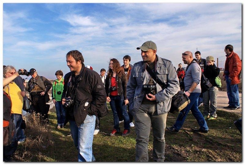 portret-de-alexds-23