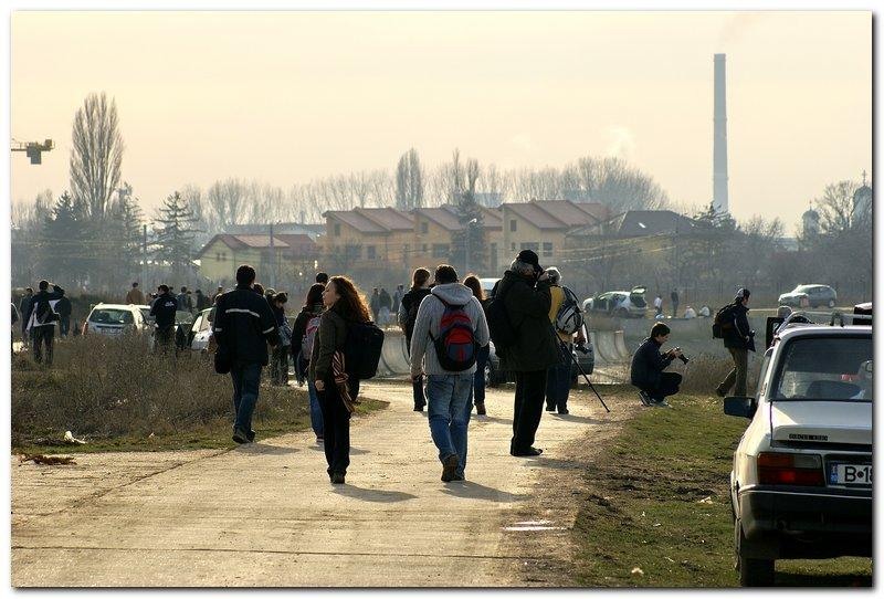 portret-de-alexds-24