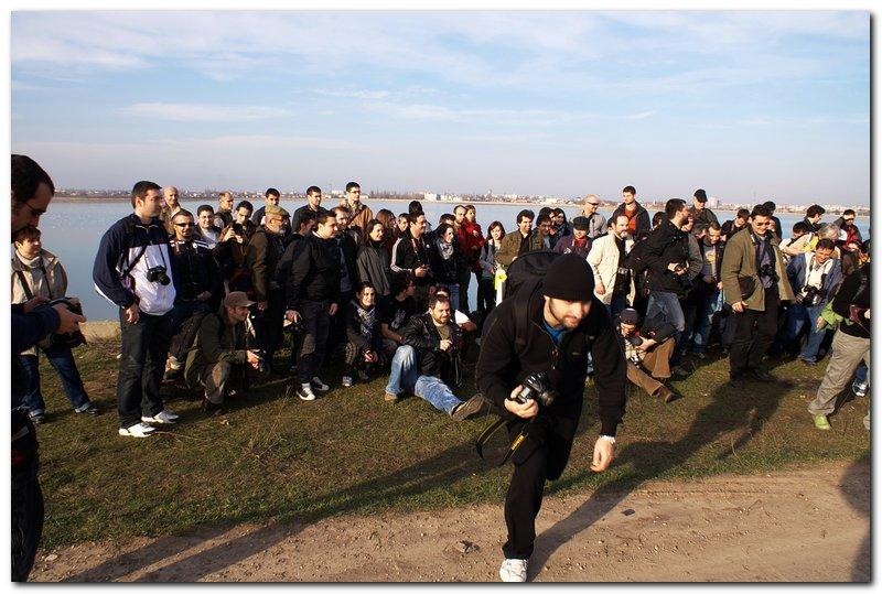 portret-de-alexds-25